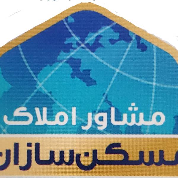 تصویر مشاور سید مهدی مبینی