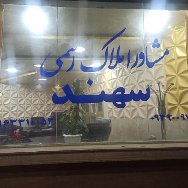 تصویر محمدرضا حمودزاده
