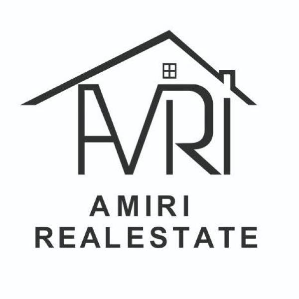 تصویر مهندس امیری