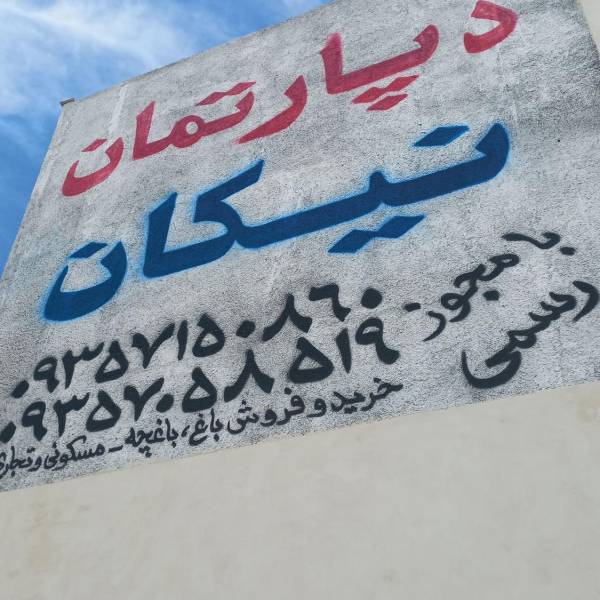تصویر سپیده عسگری