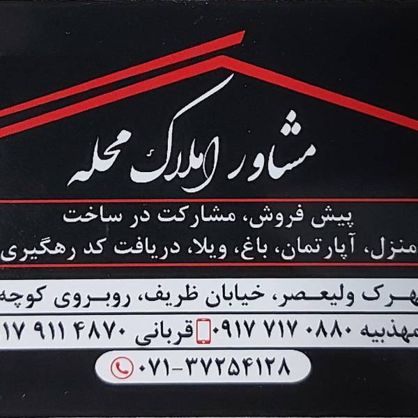 تصویر امیر قربانی