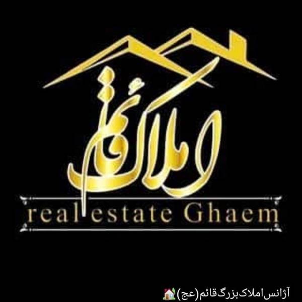 تصویر حمید خدامی