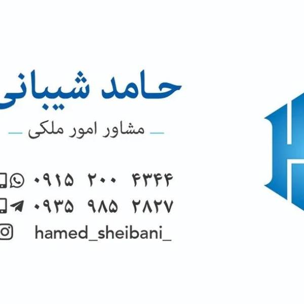تصویر مهندس حامد شیبانی 