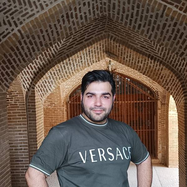 تصویر شاهین ارجنگ