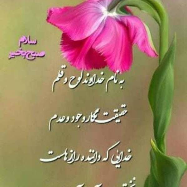 تصویر املاک خلیج همیشه فارس