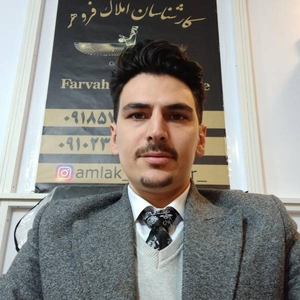 تصویر کارشناس املاک ربانی