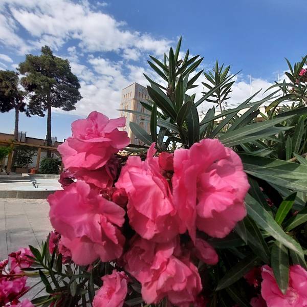 تصویر آقای کرمی