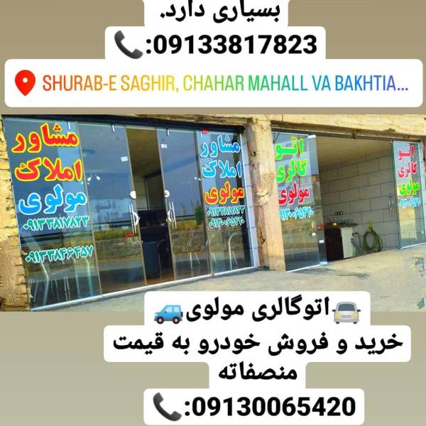 تصویر حمید رضا مولوی