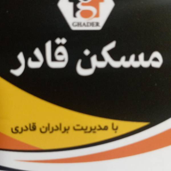 تصویر مجتبی قادری