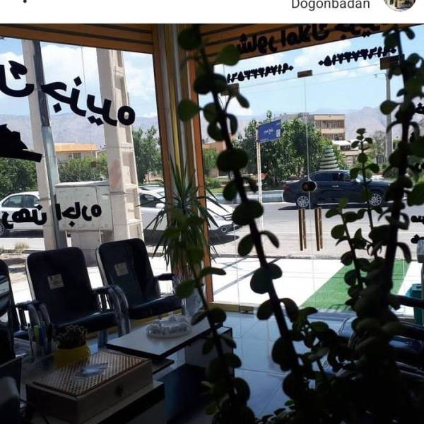 تصویر هادی گودرزی