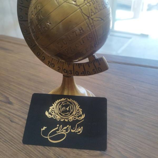 تصویر آریانا امیری