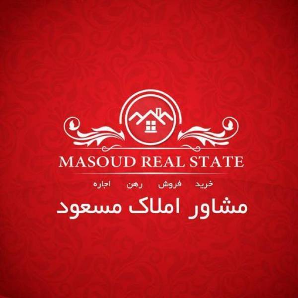 تصویر مسعود قدری