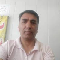 مهدی شکری  پروفایل