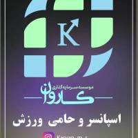 موسسه سرمایه گذاری کاروان پروفایل
