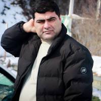 محمد نجفی پروفایل