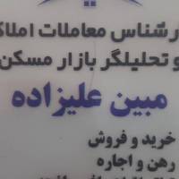 مبین علی زاده پروفایل