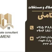 محمد ثامنی پروفایل