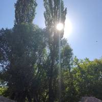 املاک رسالت پروفایل