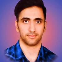 شاهین نوری پروفایل
