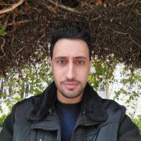 محمد رضا گلچین  پروفایل