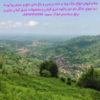 محمداملاک 09392265594 پروفایل