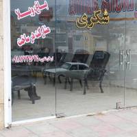 ارسلان شکری پروفایل