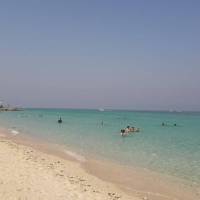 مشاور ولی پور پروفایل