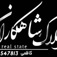 مجید کاظمی پروفایل