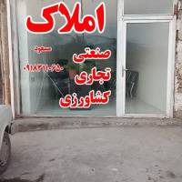 مسعود پروفایل