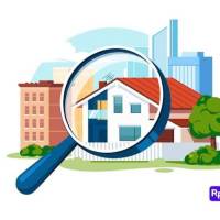 نریمان پروفایل