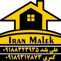 علی بلند  پروفایل