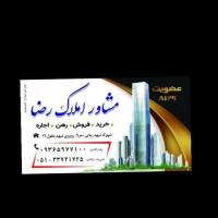 رضا راشدی پروفایل