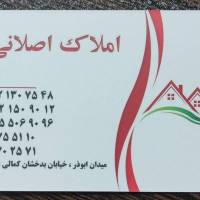 سعیداصلانی پروفایل