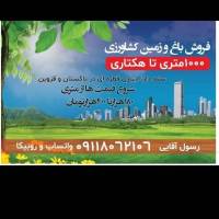 رسول اقایی پروفایل