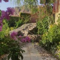 محسن ضیایی زردخشویی پروفایل