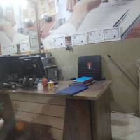 سارا حبیبی پروفایل