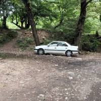 عرشیا پروفایل