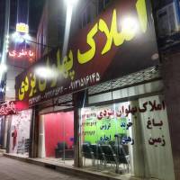 پژمان برزگر پروفایل