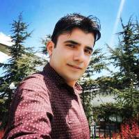 ناصر درگاهی پروفایل