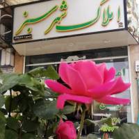 موسوی پروفایل