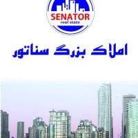 چگینی پروفایل