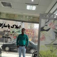 سعید وکیلی پروفایل