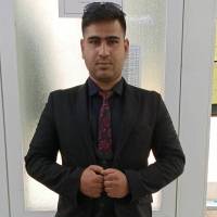 امیر نجفی  پروفایل