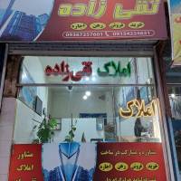 مرتضی تقی زاده پروفایل