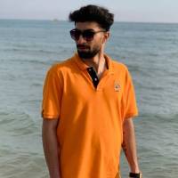 امیرمسعود برزوئی پروفایل