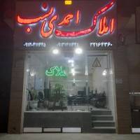 املاک احمدی نسب پروفایل