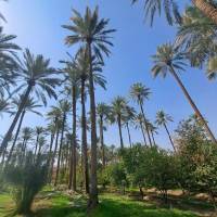 مشاور املاک پارسا پروفایل
