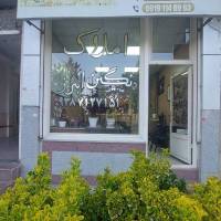 مشاور کوروش حسنی پروفایل