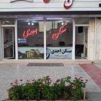مسکن احدی  پروفایل