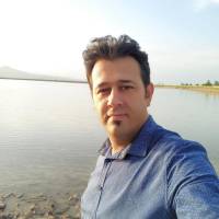 آرش حمیدی پروفایل